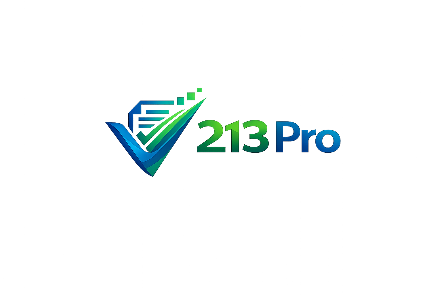 213 Pro Logo